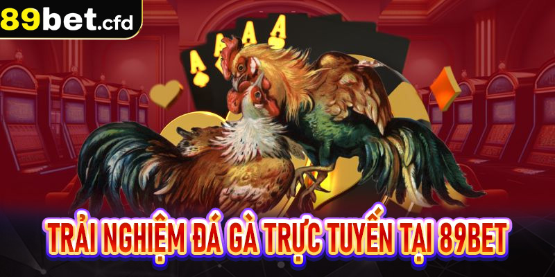 Trải nghiệm đá gà trực tuyến tại 89bet
