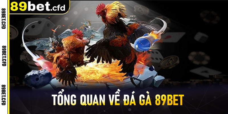 Tổng quan về Đá Gà 89bet