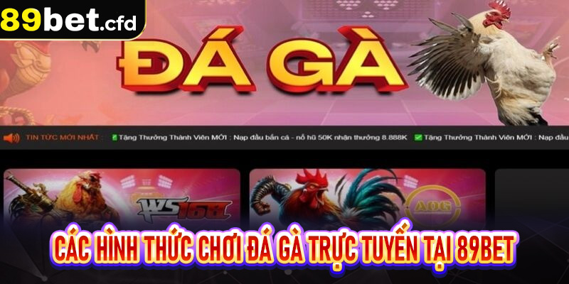 Các hình thức chơi đá gà trực tuyến tại 89bet