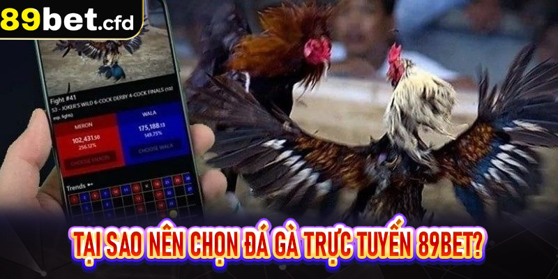 Tại sao nên chọn đá gà trực tuyến 89bet?