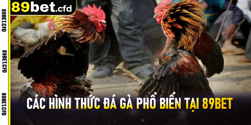 Các hình thức đá gà phổ biến tại 89BET